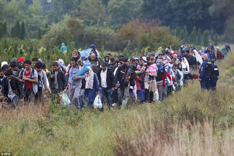 Hungary tai mo cua khau voi Serbia cho nguoi ti nan-Hinh-4